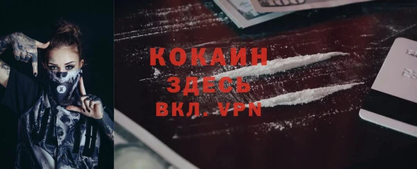 ПСИЛОЦИБИНОВЫЕ ГРИБЫ Карпинск