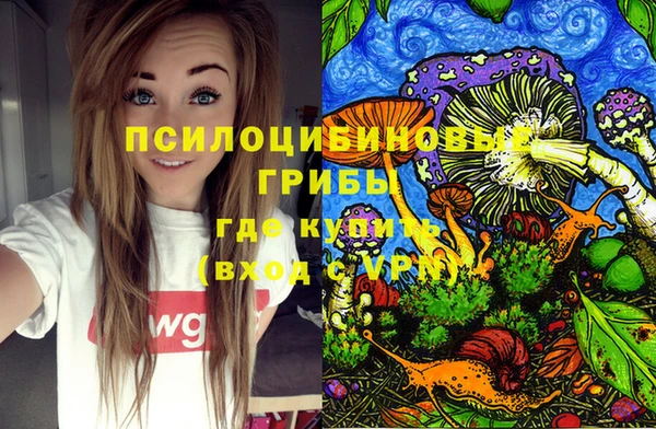 ПСИЛОЦИБИНОВЫЕ ГРИБЫ Карпинск