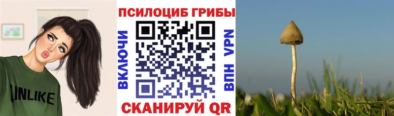 Псилоцибиновые грибы GOLDEN TEACHER  Купить  Беломорск 