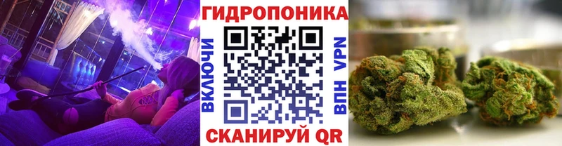 Купить где  Беломорск  Бошки Шишки семена 